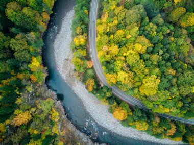 Yol manzarası ve Rusya 'da bir dağ nehri olan renkli sonbahar ormanı, Adygea