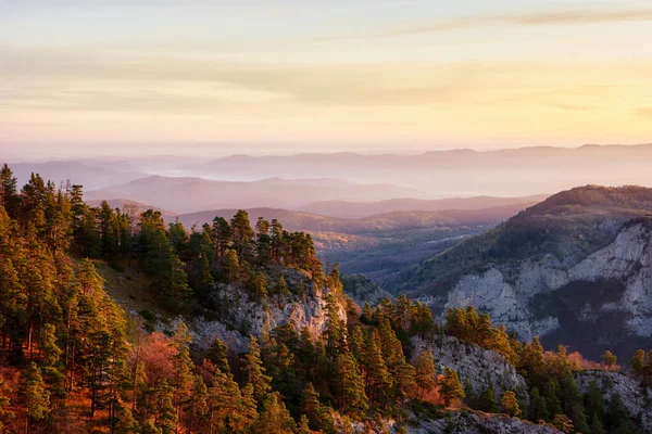 Skalista Górska Dolina Wschodzie Słońca Zachmurzonym Niebem Jodłami Park Naturalny — Zdjęcie stockowe