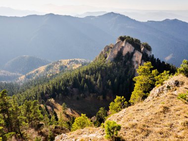 Kafkaslar 'ın dağlarının yamaçlarında altın sonbahar ve doğal park Big Thach' ta Adygea. Yüksek kalite fotoğraf