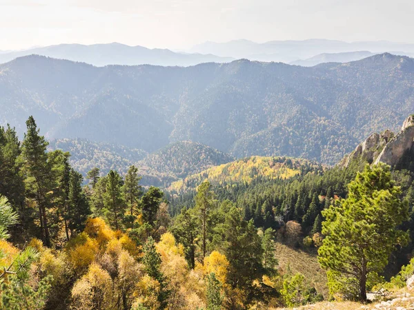 Zlatý Podzim Svazích Kavkazu Adygea Přírodním Parku Big Thach Kvalitní — Stock fotografie