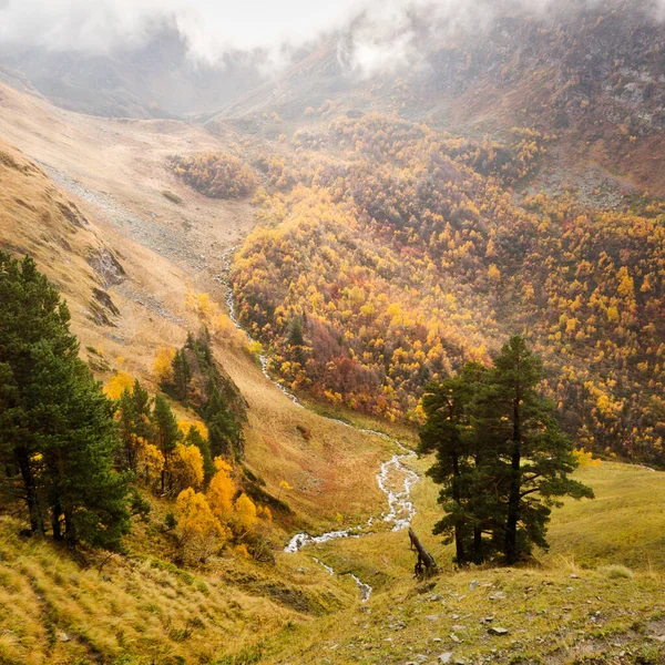 Deštivý Podzimní Den Kavkaze Stromy Podzimním Listoví Úbočí Kopce Žlutá — Stock fotografie