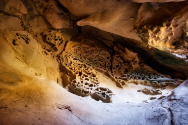 Bal peteği doğal bir kumtaşının içinde savruluyor. Kayalıklarda eritilmiş kaya. Kaya yıpratıcı mağara