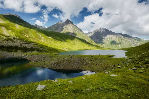 Górskie jezioro latem z łąką kwiatów i górami w tle. Błękitne niebo z białymi chmurami — Zdjęcie stockowe
