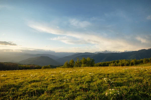 Górska Dolina Podczas Jasnego Wschodu Słońca Kwitnąca Łąka Piękny Krajobraz — Zdjęcie stockowe