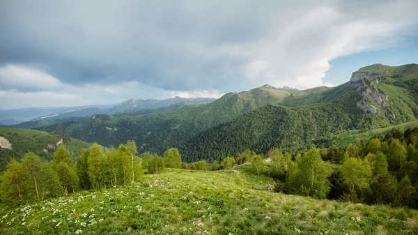 Krajobraz Zielonymi Łąkami Kwitnącymi Lasem Iglastym Szczytami Gór Zachmurzone Niebo — Zdjęcie stockowe