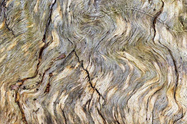 Altes Holz Textur Mit Natürlichen Muster Hochwertiges Foto — Stockfoto