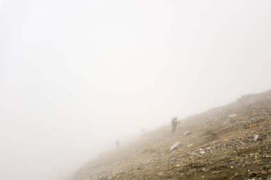 Bir grup turist sisin içinden dağa tırmanıyor. Yüksek kalite fotoğraf