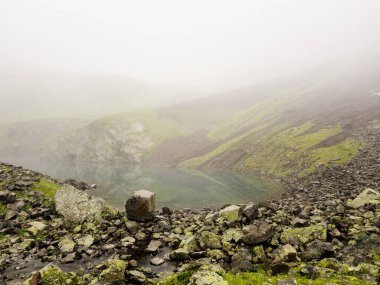 Kafkasya dağlarındaki, kristal su ve karlı dağlarla yeşil vadideki dağ manzarası. Yüksek kalite fotoğraf