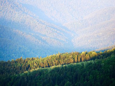 Güneşin dağ manzarası, bayırın yamacındaki ağaçları aydınlatır. Yüksek kalite fotoğraf