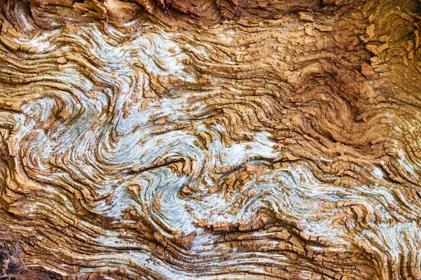 Altes Holz Textur Mit Natürlichen Muster Hochwertiges Foto — Stockfoto