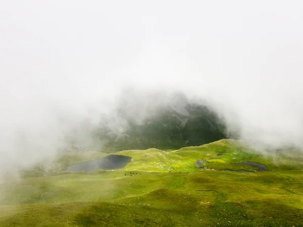 Горный Пейзаж Озеро Высокогорье Кавказа Весной Яркий Цвет Фото Сделано — стоковое фото