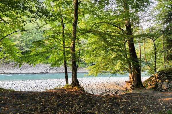 Piękny Widok Górskiej Rzeki Zachodzie Słońca Adygea Wysokiej Jakości Zdjęcie — Zdjęcie stockowe