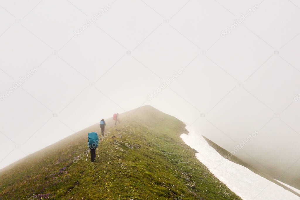 Group of tourists with backpacks rises to the top along a grassy slope in the fog. The concept of a healthy lifestyle, trekking, hiking adventures.