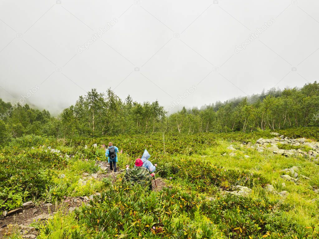 Group hiker with a backpacks goes on the grassy slope on a background of mountains in clouds. Concept of healthy lifestyle, trekking activity, hiking adventure