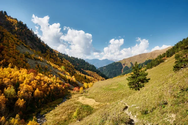 Krásná Podzimní Krajina Horami Při Západu Slunce Borovice Břízy Zlatých — Stock fotografie