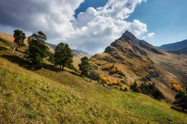Krásná Podzimní Krajina Horami Při Západu Slunce Borovice Břízy Zlatých — Stock fotografie