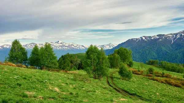 Panoramiczny Widok Wspaniały Grzbiet Górski Wysokimi Skalistymi Szczytami Świeżymi Zielonymi — Zdjęcie stockowe