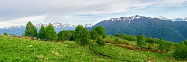Panoramiczny Widok Wspaniały Grzbiet Górski Wysokimi Skalistymi Szczytami Świeżymi Zielonymi — Zdjęcie stockowe