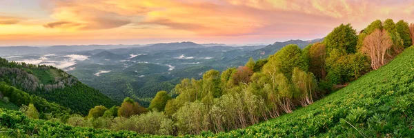 Górski Las Podczas Jasnego Wschodu Słońca Piękny Krajobraz Adygea Gush — Zdjęcie stockowe