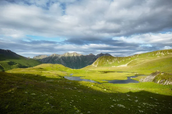 Bergmeer Zomer Met Een Bloemenweide Bergen Achtergrond Blauwe Lucht Met — Stockfoto