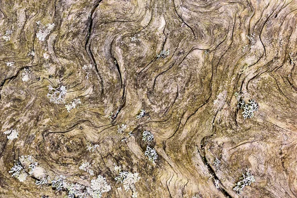 Altes Holz Textur Mit Natürlichen Muster Hochwertiges Foto — Stockfoto