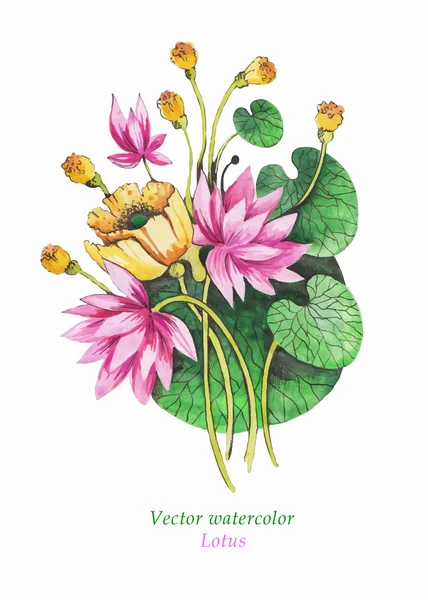 Eredeti művészet, akvarell festészet pink lotus és nenuphar — Stock Vector