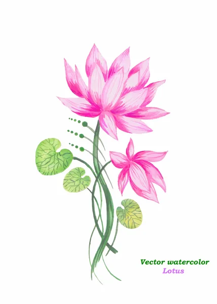 Original art, watercolor painting of pink lotus and nenuphar — Stock Vector