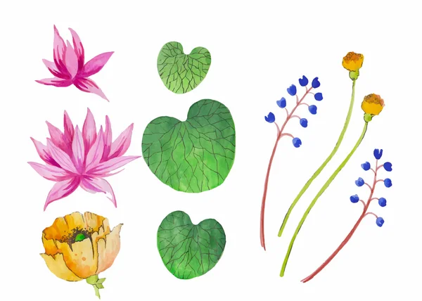 Arte original, pintura acuarela de loto rosa y nenuphar, coloridos elementos florales — Archivo Imágenes Vectoriales
