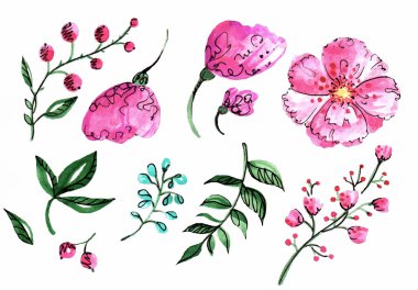 Vektör çiçek ayarlayın. Renkli çiçek koleksiyonu