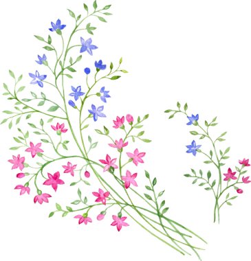 Beyaz arka plan üzerinde izole elle çizilmiş vektör öğeleri kümesi.