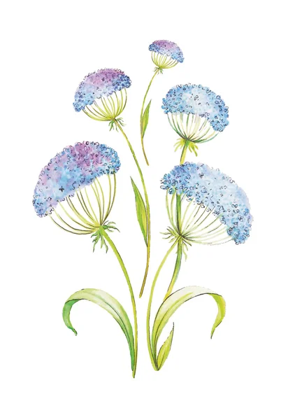 Pintado a mano acuarela vector floral ramo . — Archivo Imágenes Vectoriales