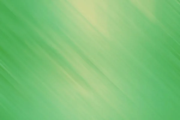 Светло Зеленая Травяная Трава Солнечная Липа Ярком Фоне Светлыми Полосами — стоковое фото