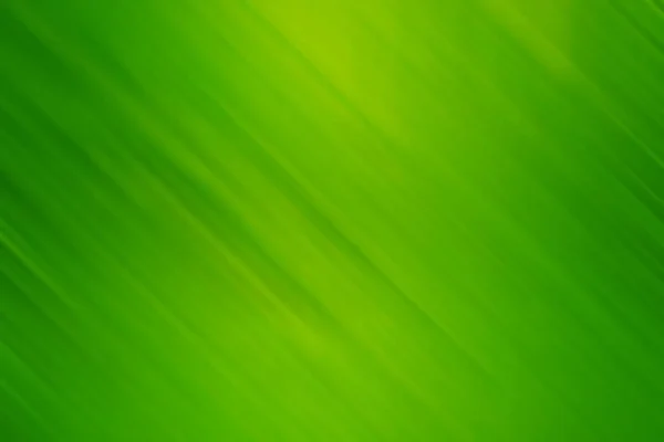 Verde Chiaro Giallo Erba Base Erbe Solare Sfondo Gradiente Luminoso — Foto Stock
