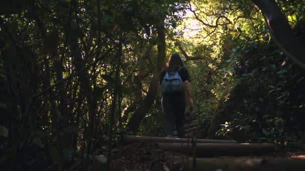 fiatal nő felmászik a csúcsra egy ösvényen egy sűrű sötét zöld erdőben a napfényben a fák koronáin keresztül.