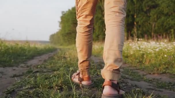 Een man loopt door een bloemenveld. Mens voeten lopen langs het pad langs het bos. Een man in het wild. Zelfisolatie. Quarantaine. Sluiten. — Stockvideo