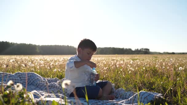 A fiú ül a mezőn, és iszik vizet egy üvegből Egészséges evés. Tiszta víz. Ásványvíz. Szabadtéri kikapcsolódás. Gyönyörű naplemente. Rendkívüli világ. A bolygó veszélyben van. Egészséges életmód — Stock videók