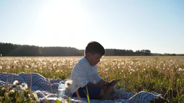 El chico está sentado en un campo con una tableta en sus manos. El niño se desplazará en la computadora. El chico está jugando. Recreo al aire libre. Hermoso atardecer. El planeta está en peligro. Estilo de vida saludable — Vídeo de stock