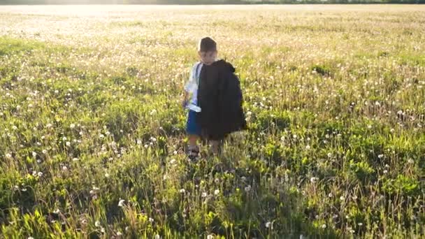 Un ragazzo attraversa un campo con una spada in mano. Bambino attore. Un eroe delle fiabe. Cavaliere. Filosofia della vita. Giochi all'aperto. Il vincitore. Il pianeta è in pericolo. Per sognare. Stile di vita sano — Video Stock