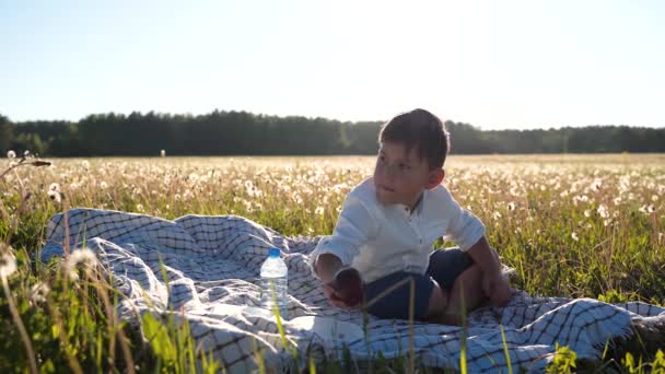 Un garçon s'assoit dans un champ et mange une pomme. Une saine alimentation. Loisirs extérieurs. Beau coucher de soleil. Un monde extraordinaire. La planète est en danger. Mode de vie sain — Video