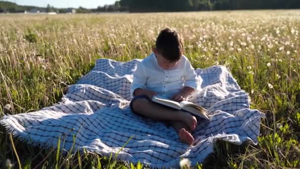 一个男孩坐在田野里看书。一个有思想的孩子生活哲学。户外娱乐活动。美丽的日落一个非凡的世界这个星球处于危险之中健康的生活方式 — 图库视频影像