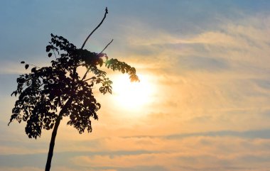 Gökyüzündeki güneş ışığı