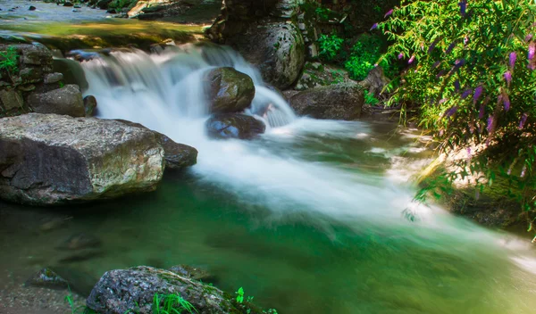 Flusso naturale — Foto de Stock