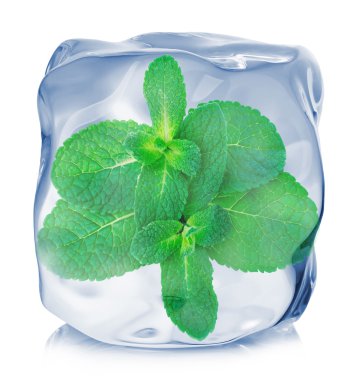 Beyaz arka plan üzerinde izole buz küp yakın çekim içinde donmuş nane yaprakları.