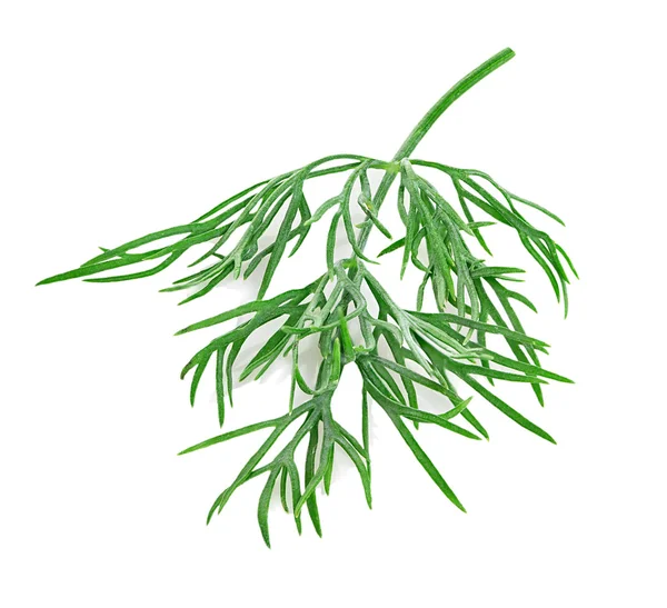 Dill isolado no fundo branco — Fotografia de Stock