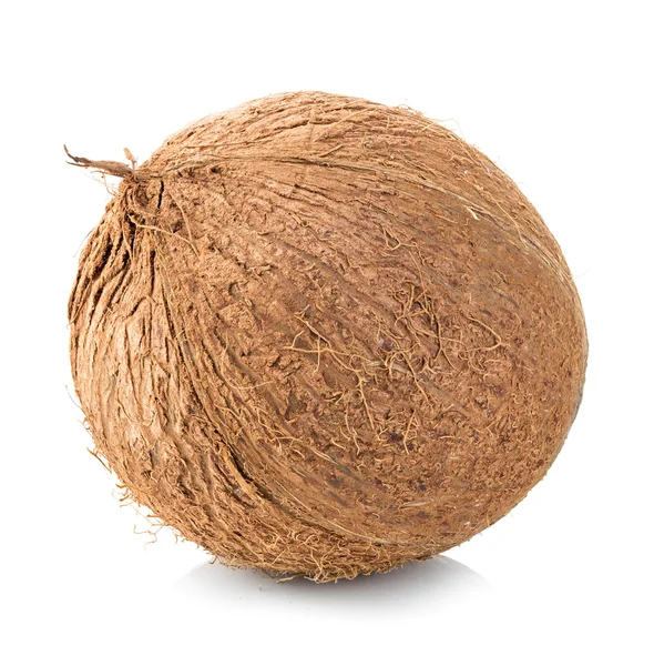 Kokosnoten geïsoleerd op witte achtergrond — Stockfoto
