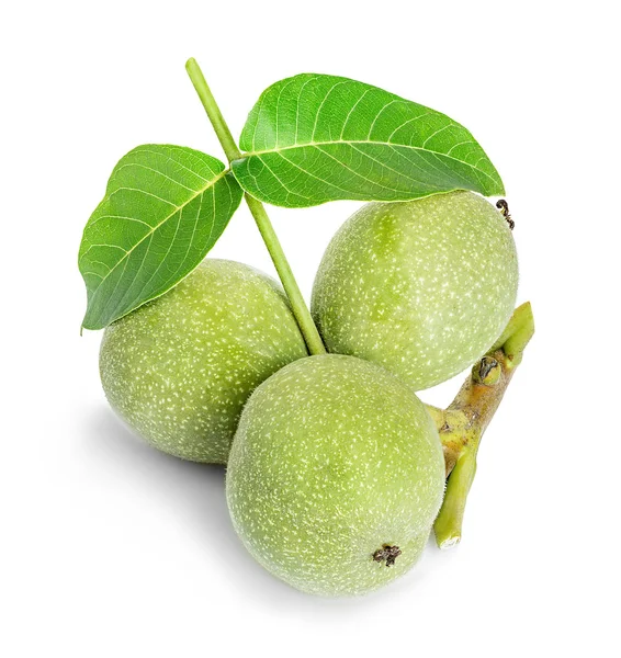 Walnuts green close-up isolated on a white background — Stock Photo, Image