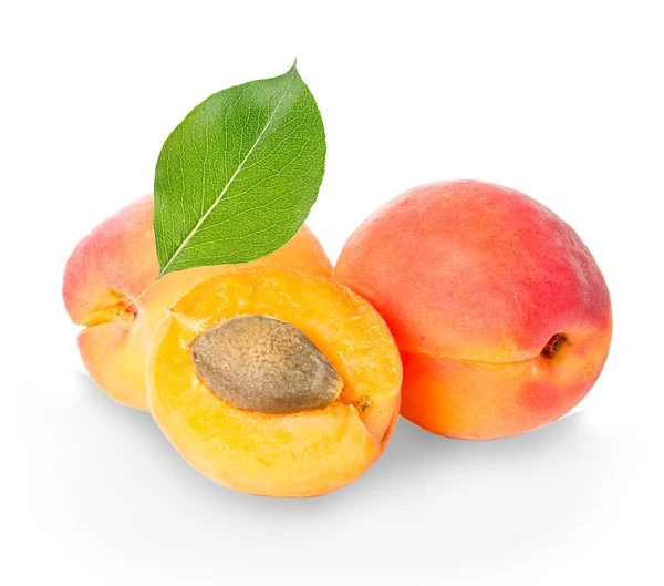 Apricots isolated on a white background. — Stock Photo, Image