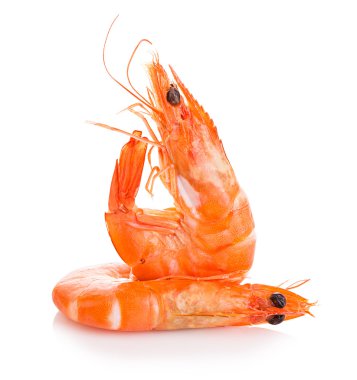 Kaplan karides. İle beyaz bir arka plan üzerinde izole karides. Deniz ürünleri