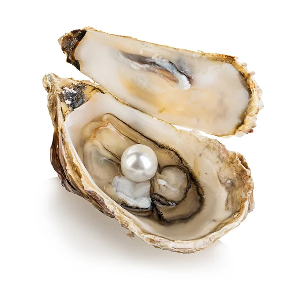 Ostra con perlas aisladas sobre fondo blanco — Foto de Stock