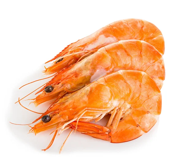 Tiger shrimps. Prawns with isolated on a white background. Seafood — Stock Photo, Image